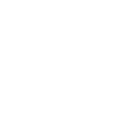 Bruce Air Filters