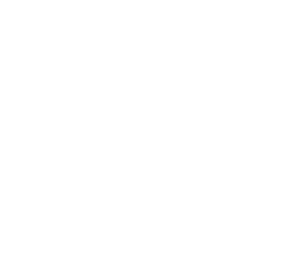 Bruce Air Filter Logo